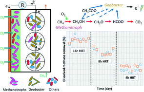 Graphical abstract: Methane-driven microbial fuel cells recover energy and mitigate dissolved methane emissions from anaerobic effluents