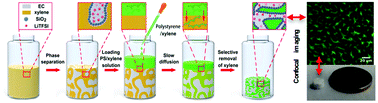 Graphical abstract: Direct transformation of bijels into bicontinuous composite electrolytes using a pre-mix containing lithium salt