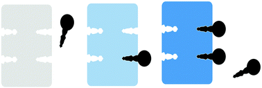 Graphical abstract: Unusual PLS application for Pd(ii) sensing in extremely acidic solutions