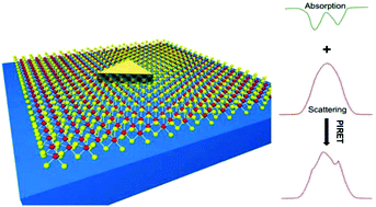 Graphical abstract: Plasmon–trion and plasmon–exciton resonance energy transfer from a single plasmonic nanoparticle to monolayer MoS2