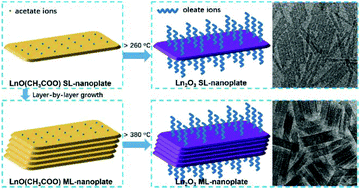 Graphical abstract: Self-sacrificed two-dimensional REO(CH3COO) template-assisted synthesis of ultrathin rare earth oxide nanoplates