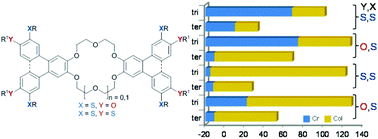 Graphical abstract: Tuning liquid crystalline phase behaviour in columnar crown ethers by sulfur substituents