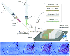 Graphical abstract: A pressure-driven gas-diffusion/permeation micropump for self-activated sample transport in an extreme micro-environment