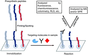 Graphical abstract: The role of peptide microarrays in biomedical research