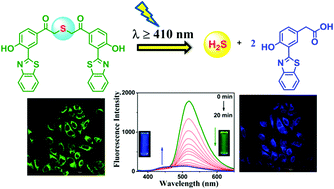 Graphical abstract: Light triggered uncaging of hydrogen sulfide (H2S) with real-time monitoring