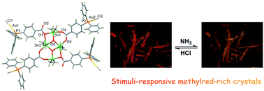 Graphical abstract: A H-shaped heterometallic Sn4Au4 system with guest-tuneable multicolour and selective luminescence sensing properties