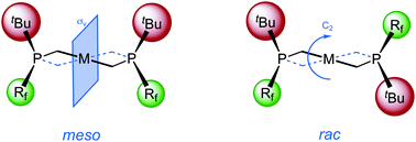 Graphical abstract: Synthesis and coordination chemistry of new asymmetric donor/acceptor pincer ligands, 1,3-C6H4(CH2PtBu(Rf))2 (Rf = CF3, C2F5)