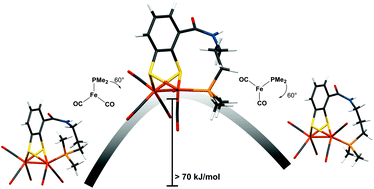 Graphical abstract: Restricted rotation of an Fe(CO)2(PL3)-subunit in [FeFe]-hydrogenase active site mimics by intramolecular ligation