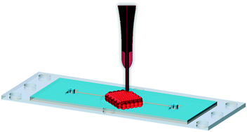 Graphical abstract: Effective bioprinting resolution in tissue model fabrication