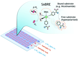 Graphical abstract: Parahydrogen based NMR hyperpolarisation goes micro: an alveolus for small molecule chemosensing