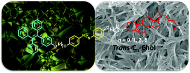 Graphical abstract: Liquid crystal gelators with photo-responsive and AIE properties