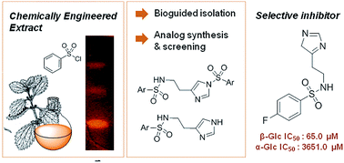 Graphical abstract: Nα-arylsulfonyl histamines as selective β-glucosidase inhibitors