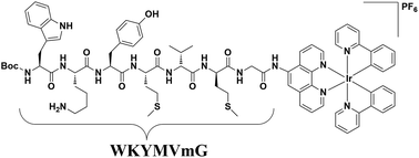 Graphical abstract: A long-lived peptide-conjugated iridium(iii) complex as a luminescent probe and inhibitor of the cell migration mediator, formyl peptide receptor 2