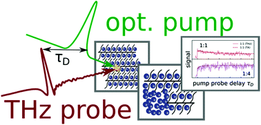 Graphical abstract: Terahertz short-range mobilities in neat and intermixed regions of polymer:fullerene blends with controlled phase morphology