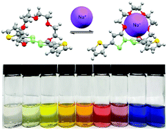 Graphical abstract: Highly selective chromoionophores for ratiometric Na+ sensing based on an oligoethyleneglycol bridged bithiophene detection unit