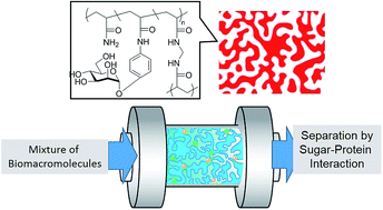 Graphical abstract: Biopolymer monolith for protein purification