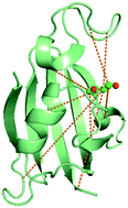 Graphical abstract: Automatic mutual information noise omission (AMINO): generating order parameters for molecular systems