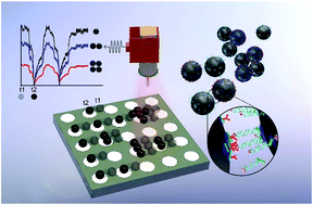 Graphical abstract: Direct identification of the herpes simplex virus UL27 gene through single particle manipulation and optical detection using a micromagnetic array