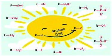 Graphical abstract: Visible light-mediated organophotocatalyzed C–H bond functionalization reactions