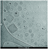 Graphical abstract: Multifunctional cubic liquid crystalline nanoparticles for chemo- and photodynamic synergistic cancer therapy