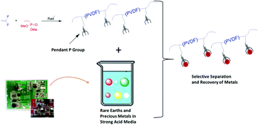 Graphical abstract: Use of poly(vinylidene fluoride-co-vinyl dimethylphosphonate) copolymers for efficient extraction of valuable metals