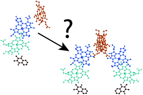 Graphical abstract: Why are photosynthetic reaction centres dimeric?