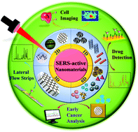 Graphical abstract: Nanomaterial-based SERS sensing technology for biomedical application