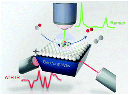 Graphical abstract: Understanding active sites in molecular (photo)electrocatalysis through complementary vibrational spectroelectrochemistry