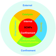 Graphical abstract: Single-chain nanoparticles: opportunities provided by internal and external confinement