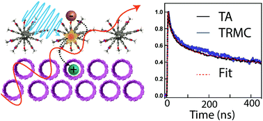 Graphical abstract: Linking optical spectra to free charges in donor/acceptor heterojunctions: cross-correlation of transient microwave and optical spectroscopy