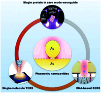 Graphical abstract: Recent advances in plasmonic nanocavities for single-molecule spectroscopy