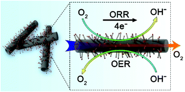 Graphical abstract: Tubular assemblies of N-doped carbon nanotubes loaded with NiFe alloy nanoparticles as efficient bifunctional catalysts for rechargeable zinc-air batteries