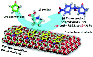 Graphical abstract: Nanocellulose enriches enantiomers in asymmetric aldol reactions