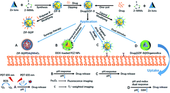 Graphical abstract: Synthesis and modification of ZIF-8 and its application in drug delivery and tumor therapy