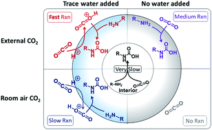 Graphical abstract: Accelerated reactions of amines with carbon dioxide driven by superacid at the microdroplet interface