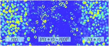 Graphical abstract: Disentangling collective motion and local rearrangements in 2D and 3D cell assemblies