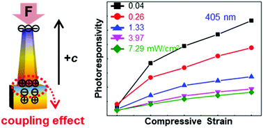 Graphical abstract: Rationally designed piezoelectric charge polarity at interfaces for largely improving photodiode performance by piezo-phototronic effects