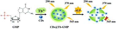 Graphical abstract: A carbon dot doped lanthanide coordination polymer nanocomposite as the ratiometric fluorescent probe for the sensitive detection of alkaline phosphatase activity