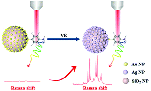 Graphical abstract: Ultrasensitive detection of vitamin E by signal conversion combined with core-satellite structure-based plasmon coupling effect