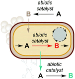 Graphical abstract: Interfacing non-enzymatic catalysis with living microorganisms