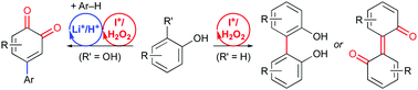 Graphical abstract: Hypoiodite-catalysed oxidative homocoupling of arenols and tandem oxidation/cross-coupling of hydroquinones with arenes