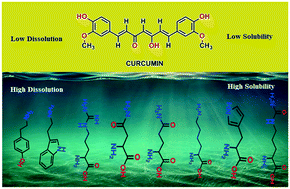 Graphical abstract: Solubility improvement of curcumin with amino acids