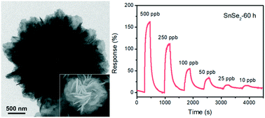 Graphical abstract: Design of hierarchical SnSe2 for efficient detection of trace NO2 at room temperature