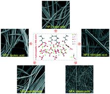 Graphical abstract: Investigation of various fatty acid surfactants on the microstructure of flexible hydroxyapatite nanofibers