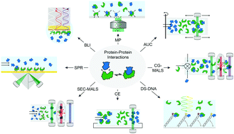 Graphical abstract: Label-free methods for optical in vitro characterization of protein–protein interactions