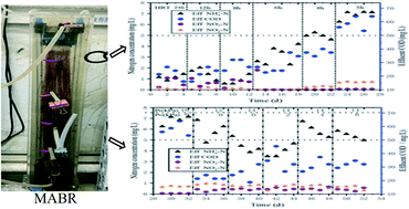 Graphical abstract: Exploring the carbon and nitrogen removal capacity of a membrane aerated biofilm reactor for low-strength municipal wastewater treatment