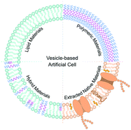 Graphical abstract: Vesicle-based artificial cells: materials, construction methods and applications