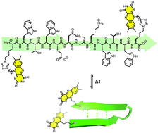 Graphical abstract: Facile access to foldable redox-active flavin-peptide conjugates