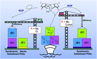 Graphical abstract: Stereoselective ring-opening polymerization of functional β-lactones: influence of the exocyclic side-group