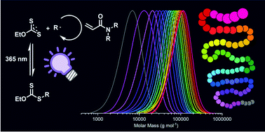 Graphical abstract: The difference between photo-iniferter and conventional RAFT polymerization: high livingness enables the straightforward synthesis of multiblock copolymers